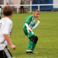 sh-veltrusy (33).jpg sh-veltrusy (33).jpg