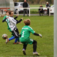 sh-veltrusy (32).jpg sh-veltrusy (32).jpg