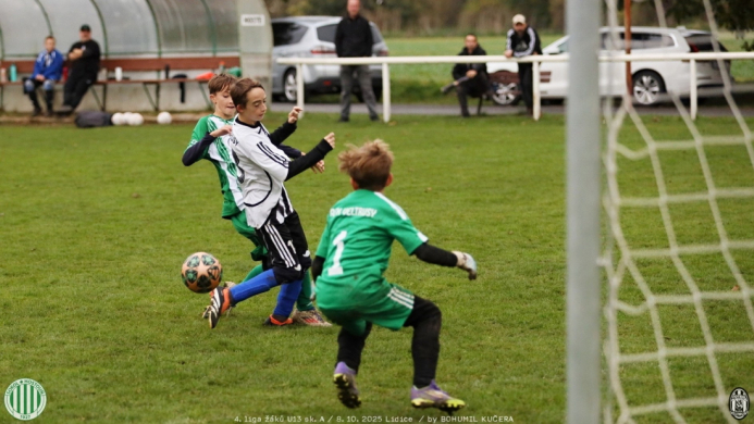 sh-veltrusy (32).jpg