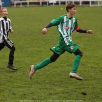 sh-veltrusy (34).jpg sh-veltrusy (34).jpg