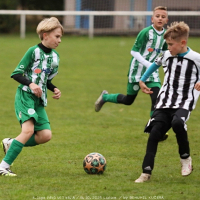 sh-veltrusy (35).jpg sh-veltrusy (35).jpg