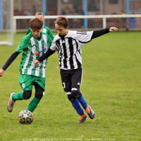 sh-veltrusy (37).jpg sh-veltrusy (37).jpg