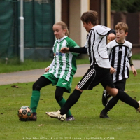 sh-veltrusy (36).jpg sh-veltrusy (36).jpg