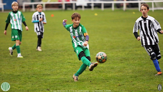 sh-veltrusy (38).jpg