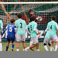 sh19-k.dvur (22).jpg sh19-k.dvur (22).jpg