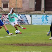 sh19-k.dvur (47).jpg sh19-k.dvur (47).jpg