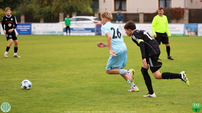 sh-vestec (43).jpg sh-vestec (43).jpg