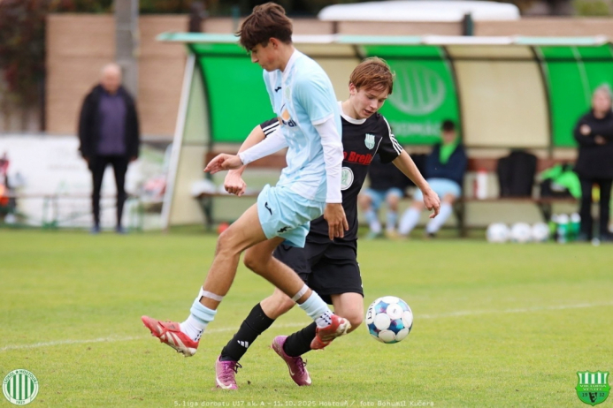 sh-vestec (50).jpg sh-vestec (50).jpg