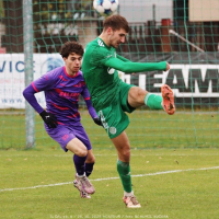 sh-bohemians (1).jpg sh-bohemians (1).jpg