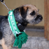 sh-bohemians (48).jpg