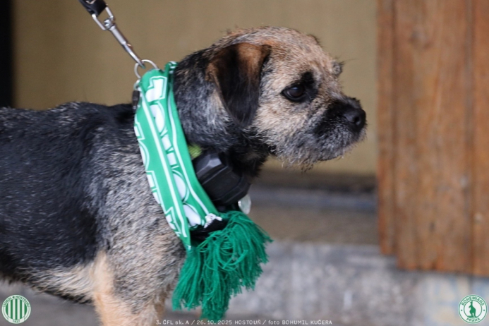 sh-bohemians (48).jpg sh-bohemians (48).jpg