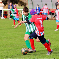 sh13-beroun (37).jpg sh13-beroun (37).jpg