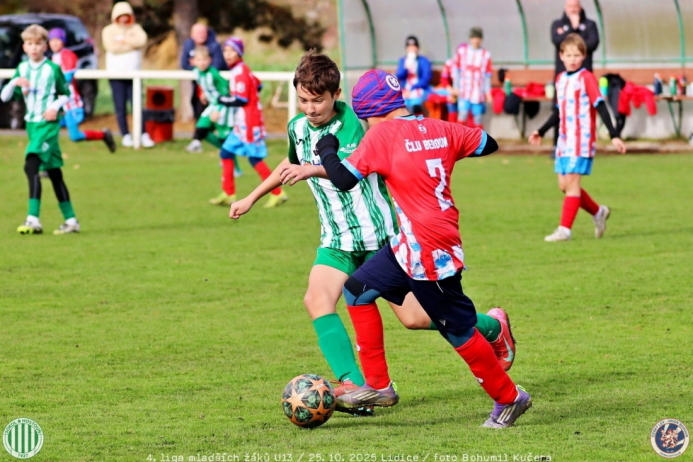 sh13-beroun (37).jpg