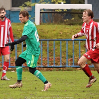 novo-shb (58).jpg novo-shb (58).jpg