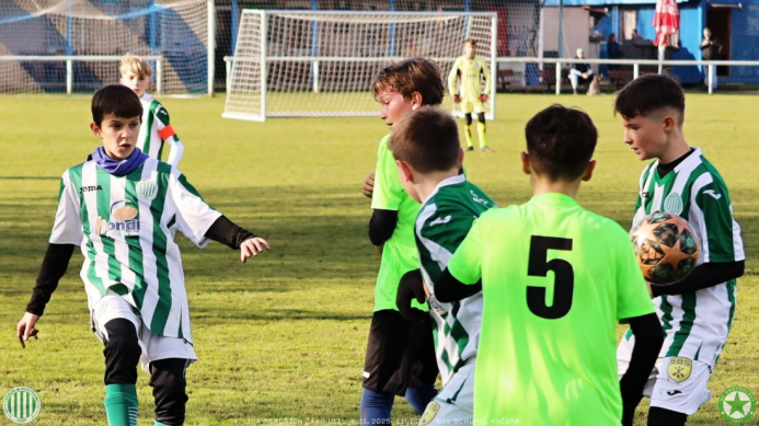 sh13-krocehlavy (1).jpg