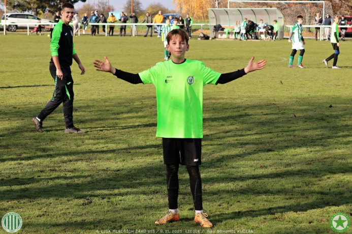 sh13-krocehlavy (2).jpg