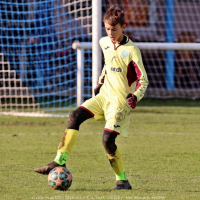 sh13-krocehlavy (5).jpg