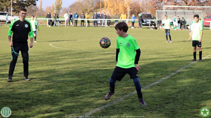 sh13-krocehlavy (8).jpg