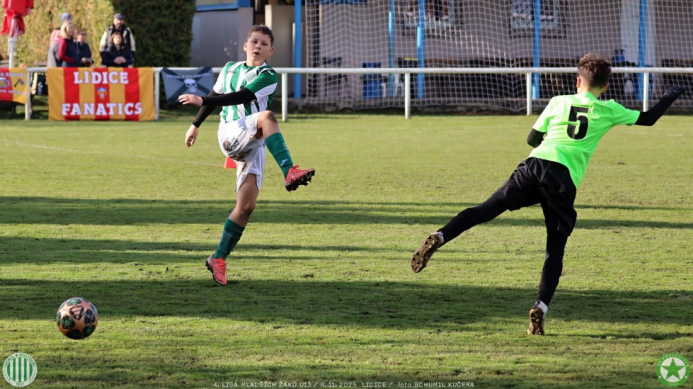 sh13-krocehlavy (7).jpg