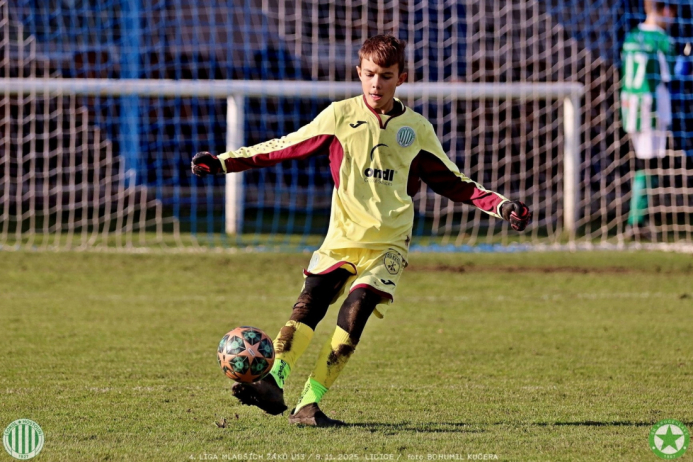 sh13-krocehlavy (6).jpg