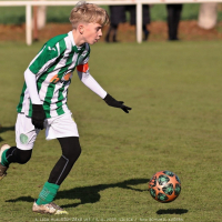 sh13-krocehlavy (10).jpg sh13-krocehlavy (10).jpg