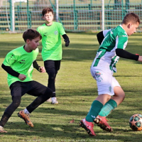 sh13-krocehlavy (11).jpg