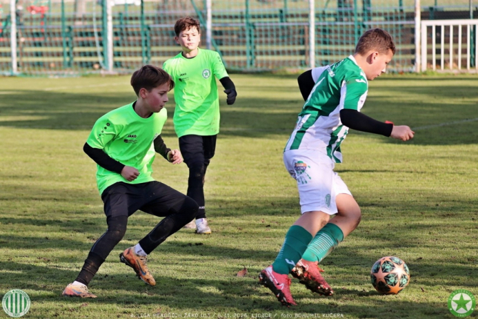 sh13-krocehlavy (11).jpg