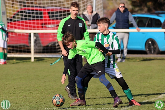 sh13-krocehlavy (15).jpg