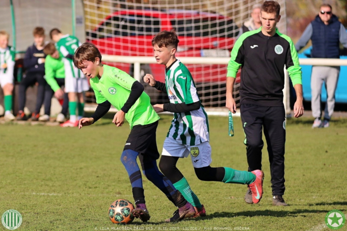 sh13-krocehlavy (16).jpg