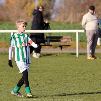 sh13-krocehlavy (14).jpg sh13-krocehlavy (14).jpg