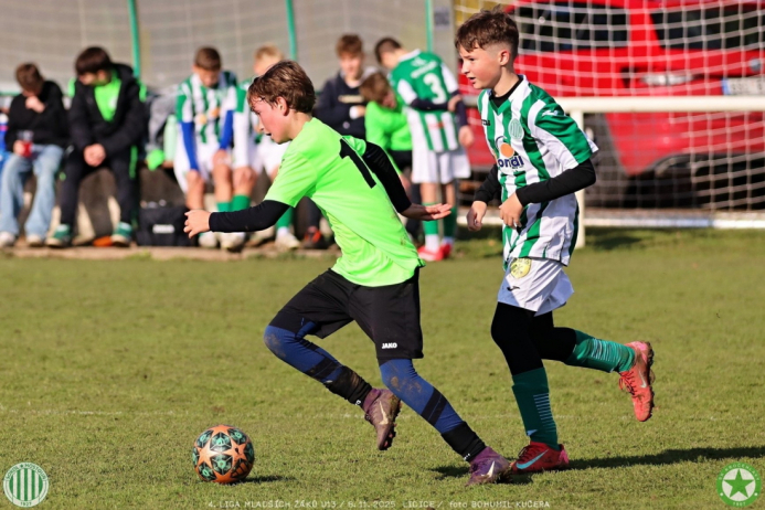 sh13-krocehlavy (17).jpg