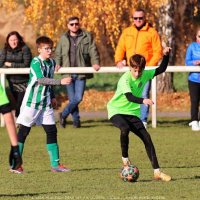 sh13-krocehlavy (19).jpg