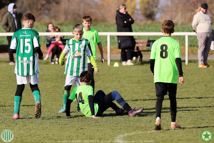 sh13-krocehlavy (18).jpg