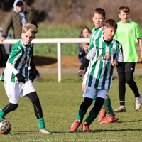 sh13-krocehlavy (24).jpg sh13-krocehlavy (24).jpg