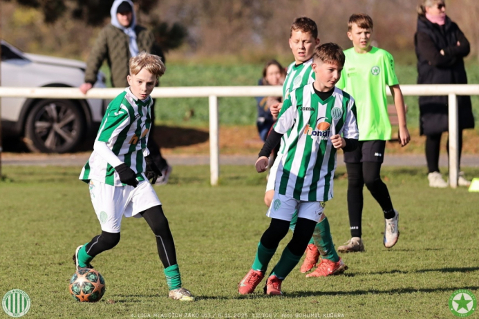 sh13-krocehlavy (24).jpg