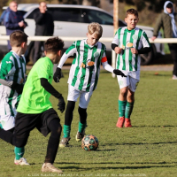 sh13-krocehlavy (25).jpg sh13-krocehlavy (25).jpg