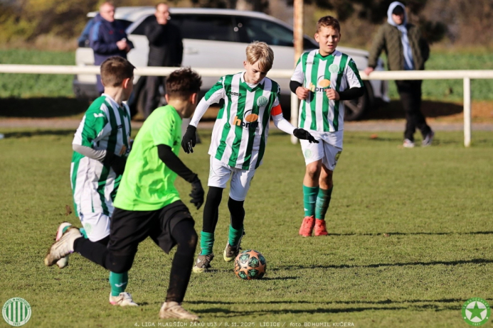 sh13-krocehlavy (25).jpg