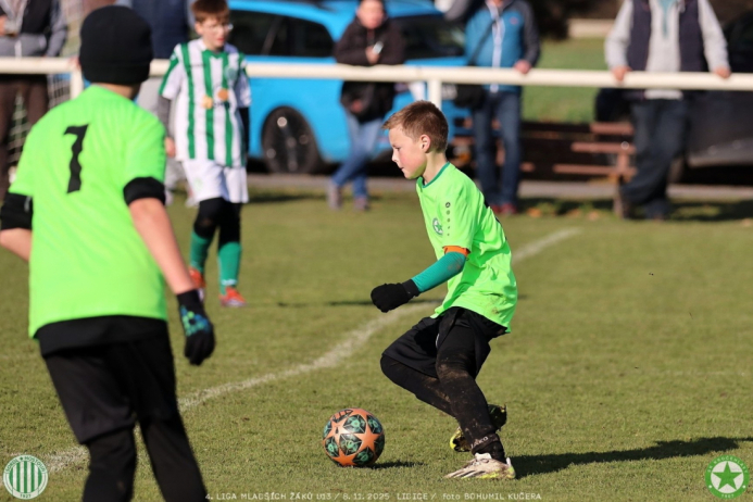 sh13-krocehlavy (26).jpg