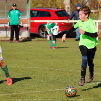 sh13-krocehlavy (28).jpg sh13-krocehlavy (28).jpg