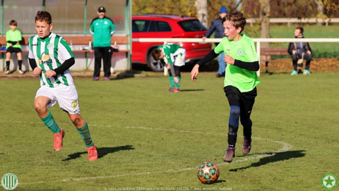 sh13-krocehlavy (28).jpg