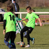 sh13-krocehlavy (27).jpg sh13-krocehlavy (27).jpg