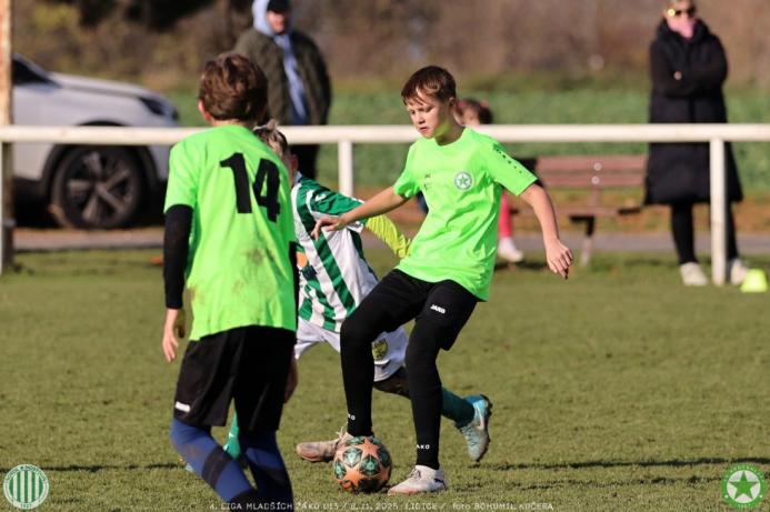 sh13-krocehlavy (27).jpg