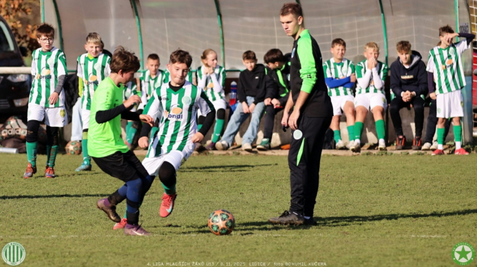 sh13-krocehlavy (29).jpg