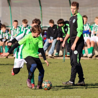 sh13-krocehlavy (30).jpg sh13-krocehlavy (30).jpg