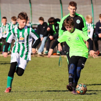 sh13-krocehlavy (31).jpg sh13-krocehlavy (31).jpg