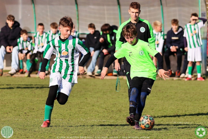 sh13-krocehlavy (31).jpg