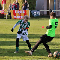 sh13-krocehlavy (34).jpg sh13-krocehlavy (34).jpg