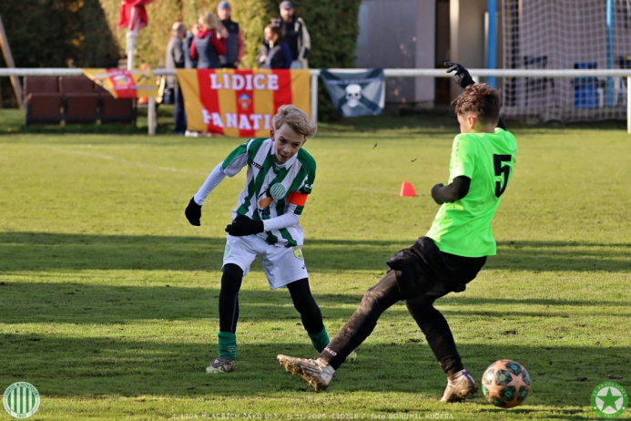 sh13-krocehlavy (34).jpg