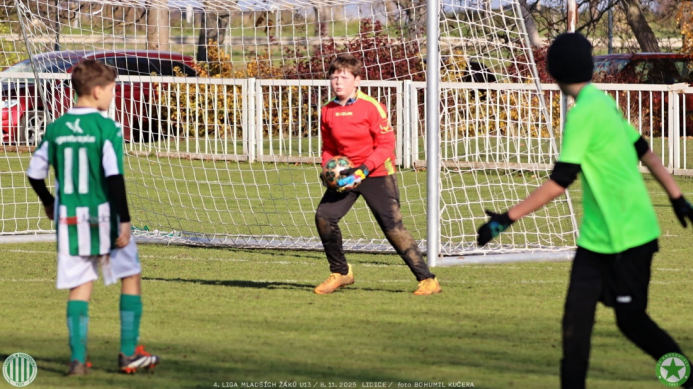 sh13-krocehlavy (38).jpg