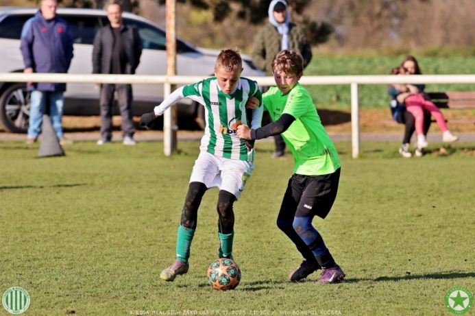 sh13-krocehlavy (36).jpg